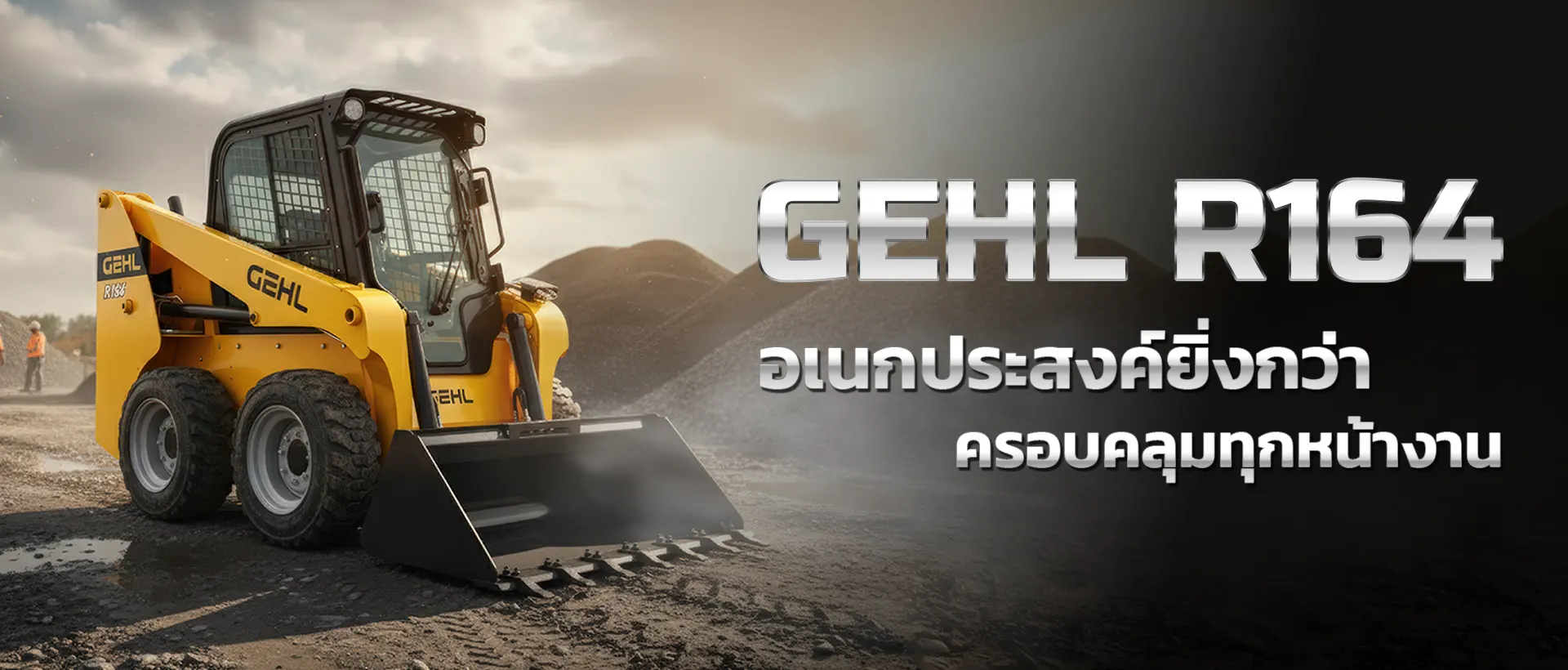 หน้าแรก 5 GEHL R164